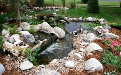 How Much Does A Koi Pond Cost in Oklahoma?
