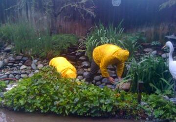 What is an exploratory pond cleaning & what does it cost?