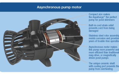 Pond Pump Problems and How to Fix Them for Oklahoma City Metro Water Gardeners