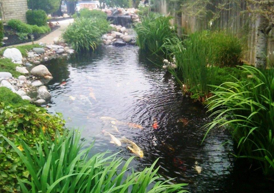 How Storms Affect Your Oklahoma City Area Pond/Water Feature