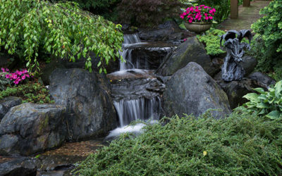 How to Control String Algae in Your Oklahoma City Metro Area Pondless Waterfall