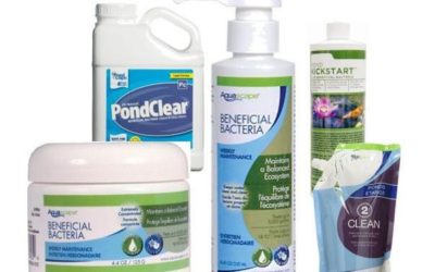 Beneficial Bacteria