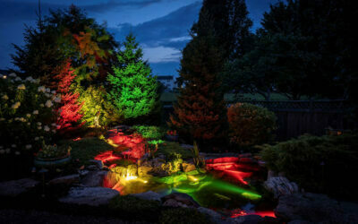 What Are Smart Controlled Aquascape LED Color Changing Lights