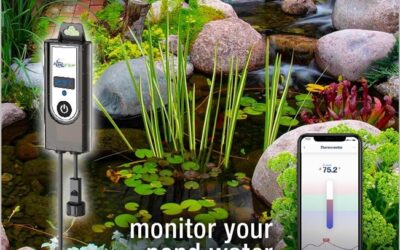 What Is The Smart Pond Thermometer