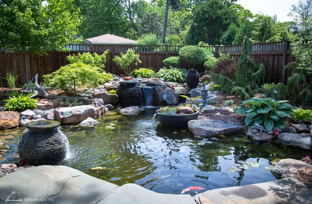 What Should I do to my pond before traveling!