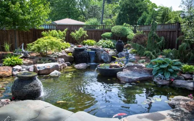 What Should I do to my pond before traveling!