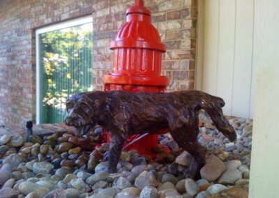 Fountainscape Installation in Bethany by Continental Ponds