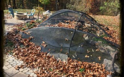 Fall Pond Netting in Oklahoma City: Essential Tips from Continental Ponds