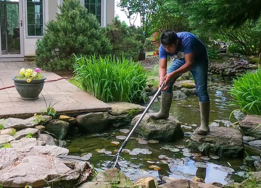 Pond specialist draining basin and inspecting filtration components during intensive cleanout