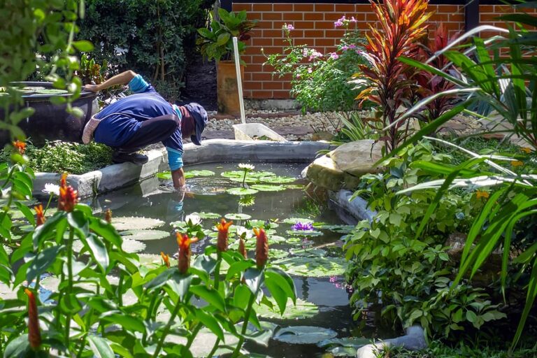 pond service technician installing aquatic plants in a backyard pond in Edmond, OK