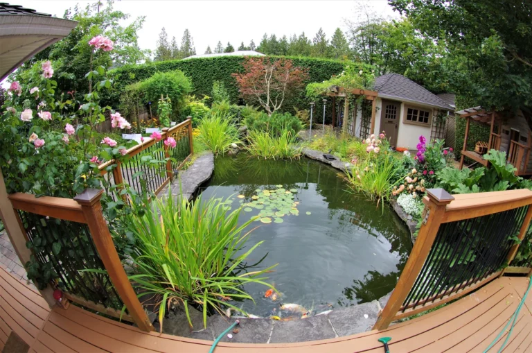 Affordable pond contractor assessing pond design plans in Del City, OK
