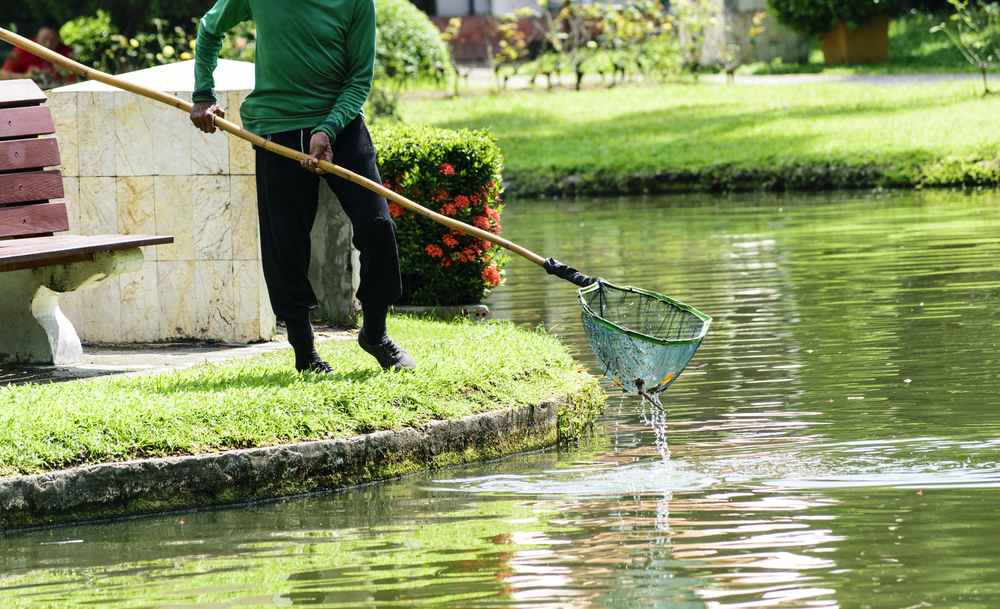 Pond specialist draining basin and inspecting filtration components during intensive cleanout