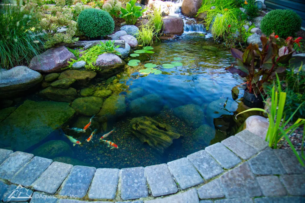 Small backyard pond beside patio seating