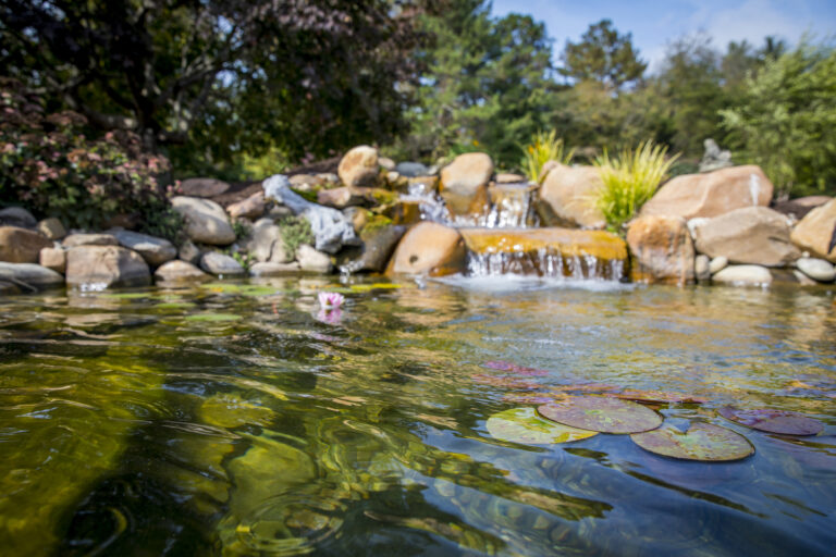 Expert pond contractor assessing water quality with testing tools in Oklahoma City, OK