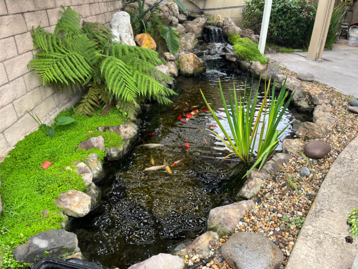 Quality pond contractor shaping natural pond edges at a Moore, OK residential property