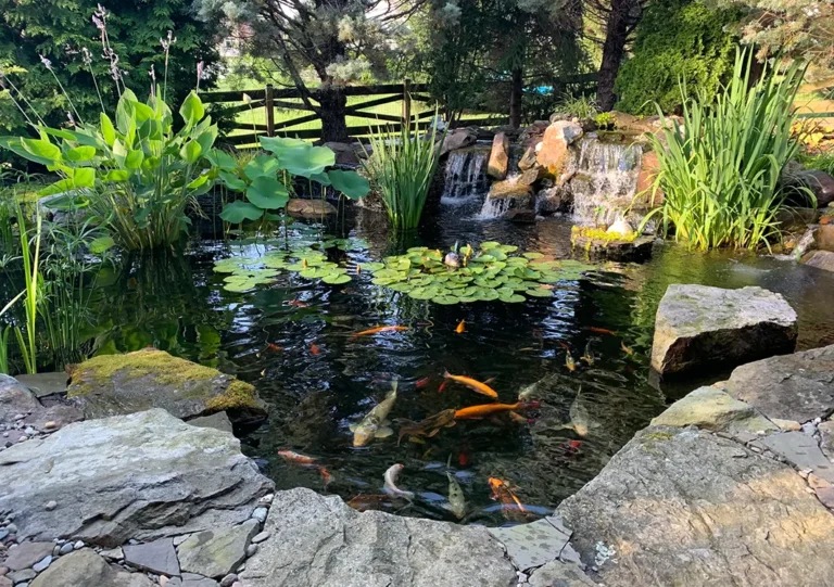 TrusLocal pond contractor installing natural pond at a Norman, OK residence Local pond contractor installing natural pond landscape at a Norman, OK residence