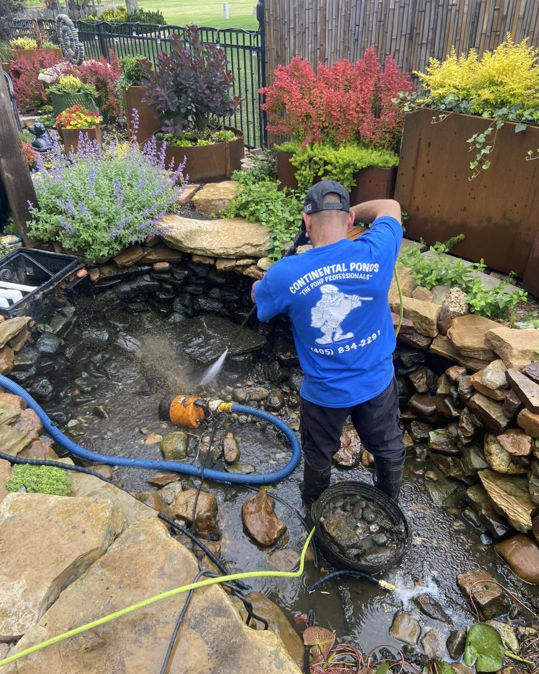 Continental Ponds technician cleaning a backyard koi pond in Oklahoma City, Oklahoma