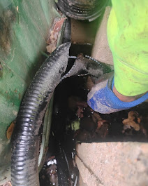 Pond_repair_service_in_Edmond