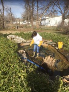 Pond_repair_service_in_Oklahoma_city