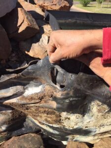 Pond_repair_service_in_Piedmont