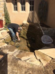 cleaning-a-formal-pond-in-Oklahoma