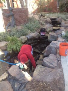 cleaning-out-a-pond-in-OKC