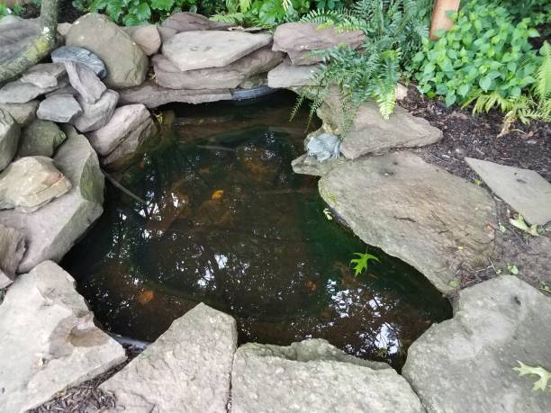 Pond Maintenance in Del City, OK underway as a technician clears debris from a skimmer box