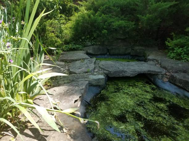 Specialist performing pond maintenance in Midwest City, OK while checking filtration flow beside a landscaped water feature